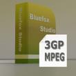 3GP MPEG Converter, Convert MPEG to 3GP,  Convert MPEG to 3GPP / 3G2 - functions