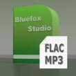FLAC MP3 Converter, convert FLAC to MP3, MP3 to FLAC - system