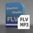 Bluefox FLV to MP3 Converter