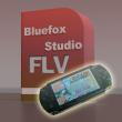 Bluefox FLV to PSP Converter, FLV to PSP MP4 Video, Convert FLV to PSP - system
