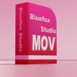 Bluefox MOV to X Converter, Convert MOV to Other Video Formats - system