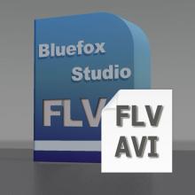 FLV to AVI Converter, Convert FLV to AVI, FLV Converter to AVI