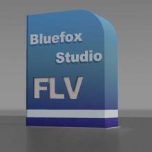 FLV Converter, Convert FLV to other Video format,  FLV Video Converter