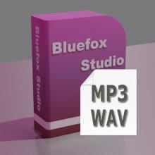 MP3 WAV Converter: Convert MP3 to WAV, WAV to MP3
